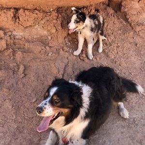 Meet your Posher, Tiana